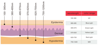 Rødlyspose med rødt og nærinfrarødt lys (650nm / 850nm) DOBBELT