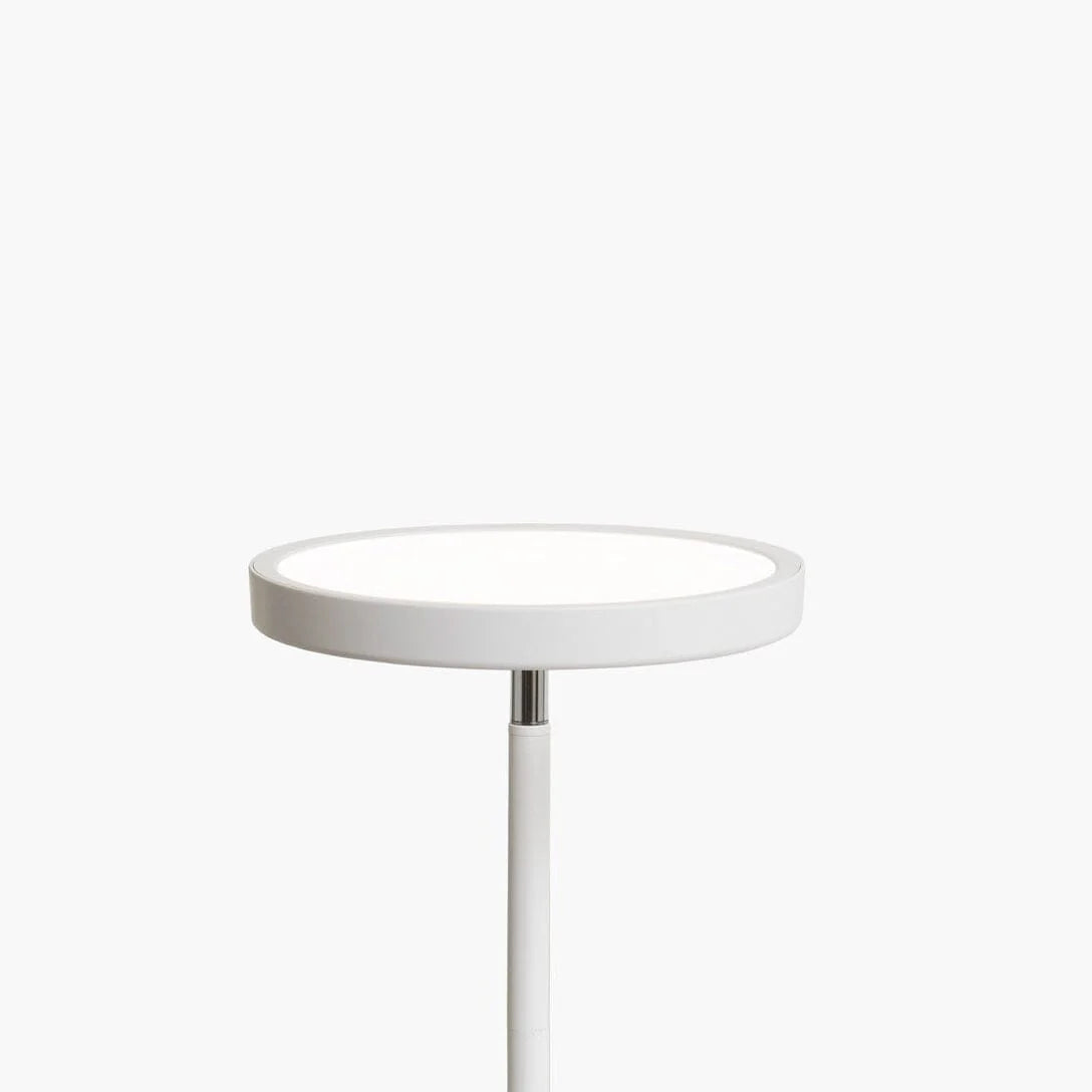 Innolux Stella Gulv - 24W LED Gulvlampe